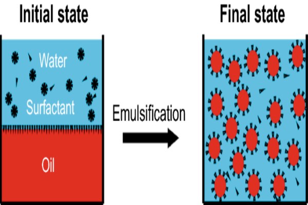 Understanding Emulsifiers